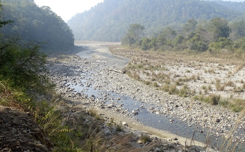 Ramganga River at Dhikala Zone, Corbett National Park in Uttarakhand, India