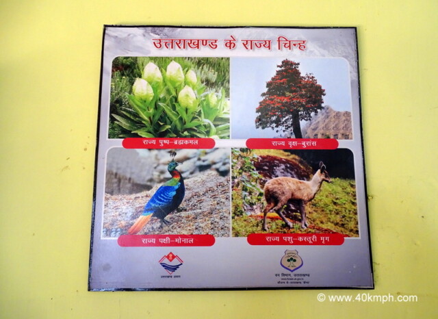 State Symbols of Uttarakhand