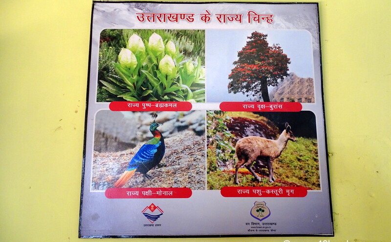 State Symbols of Uttarakhand
