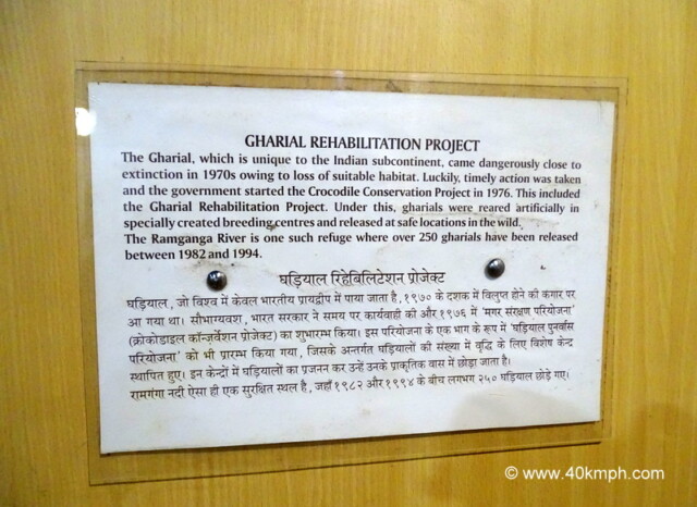 When was Crocodile Conservation Project Started