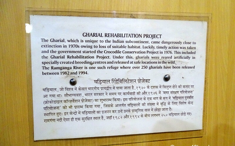 When was Crocodile Conservation Project Started