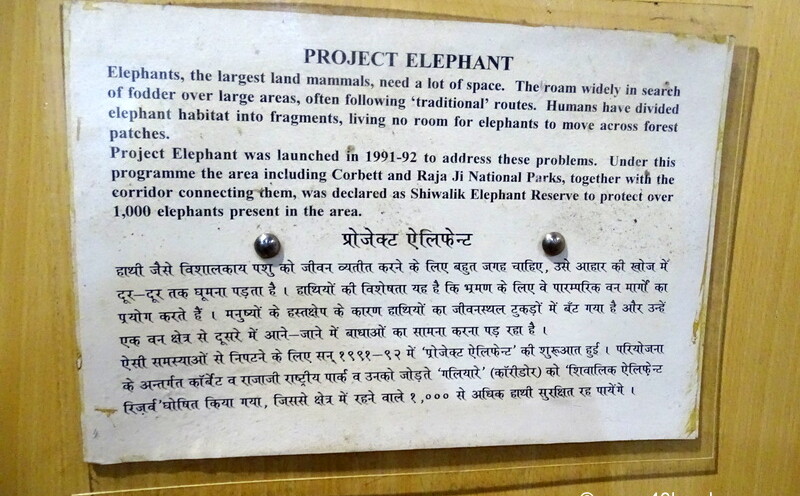 When was Project Elephant Launched