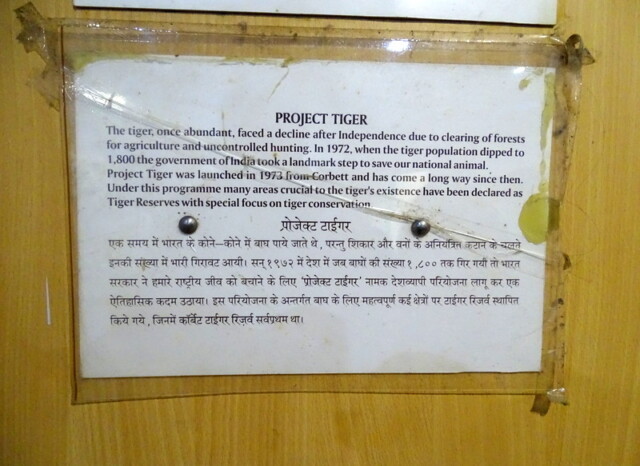 When was Project Tiger launched
