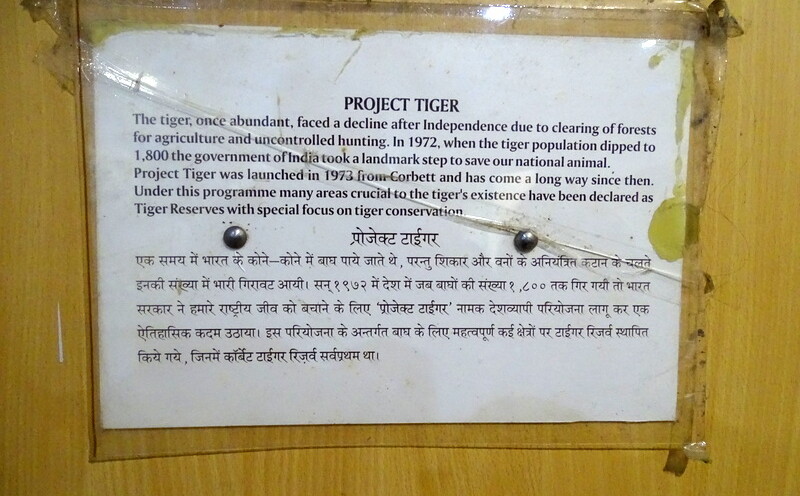 When was Project Tiger launched