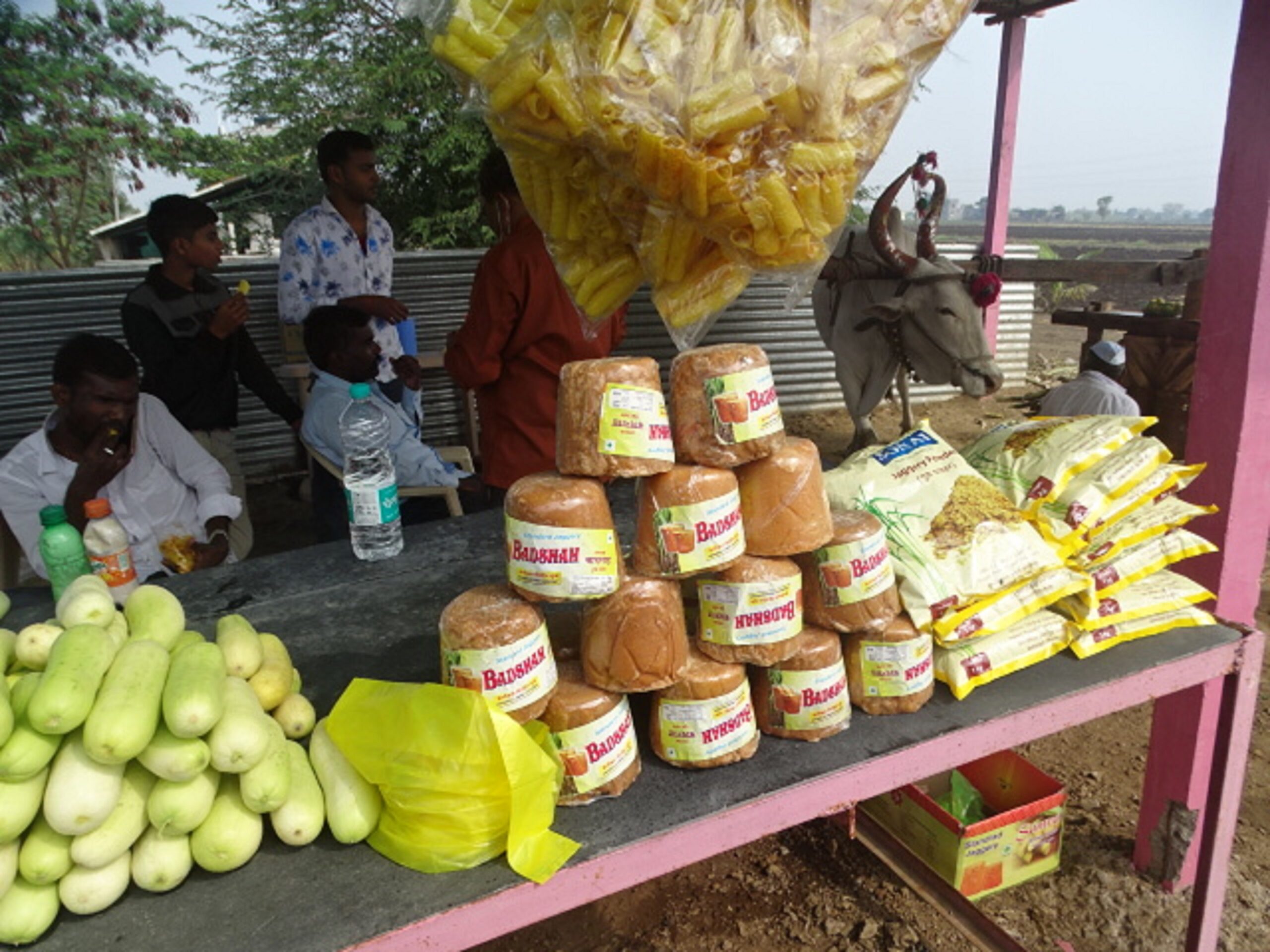 Jaggery (gur) for Sale at Umbre Village, Ahmednagar, Maharashtra, India
