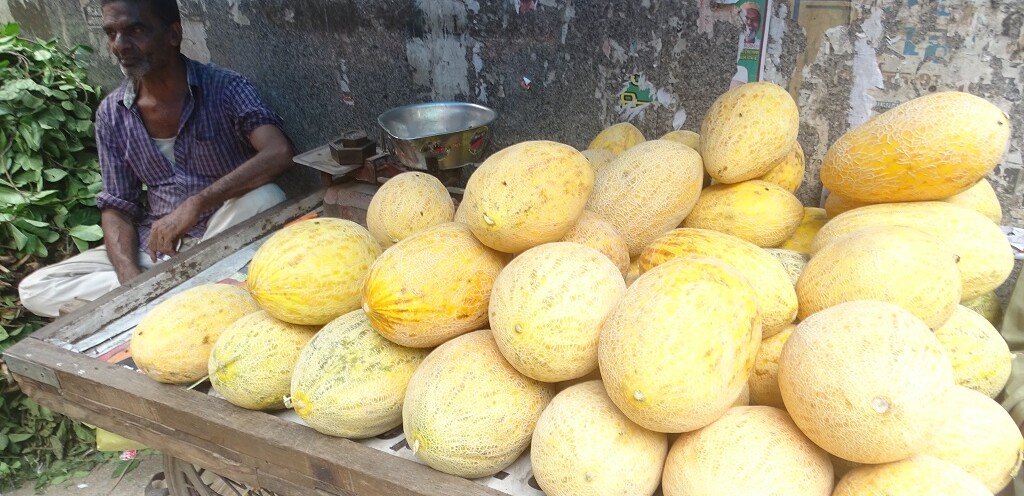 Melons of Afghanistan