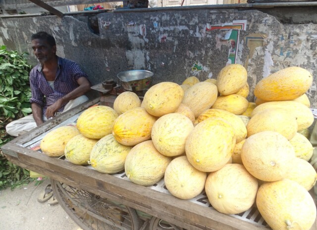 Melons of Afghanistan