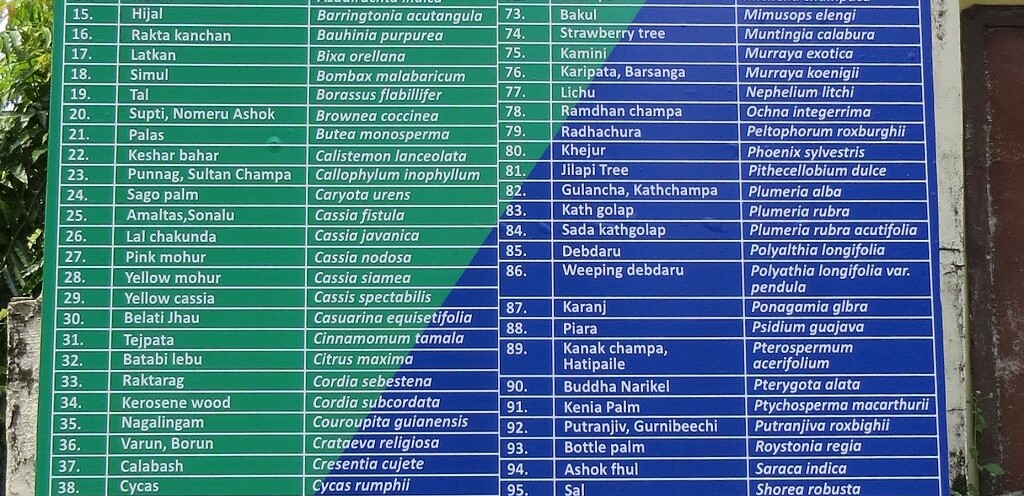 List of Trees at Zoological Garden, Alipore (Kolkata, India)