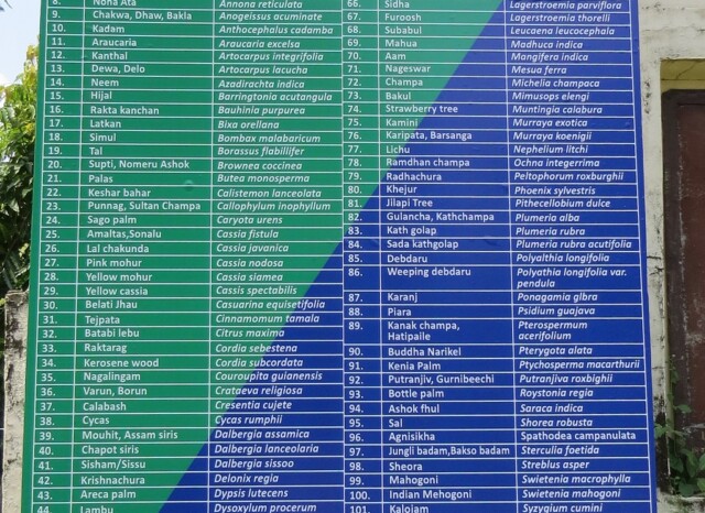 List of Trees at Zoological Garden, Alipore (Kolkata, India)