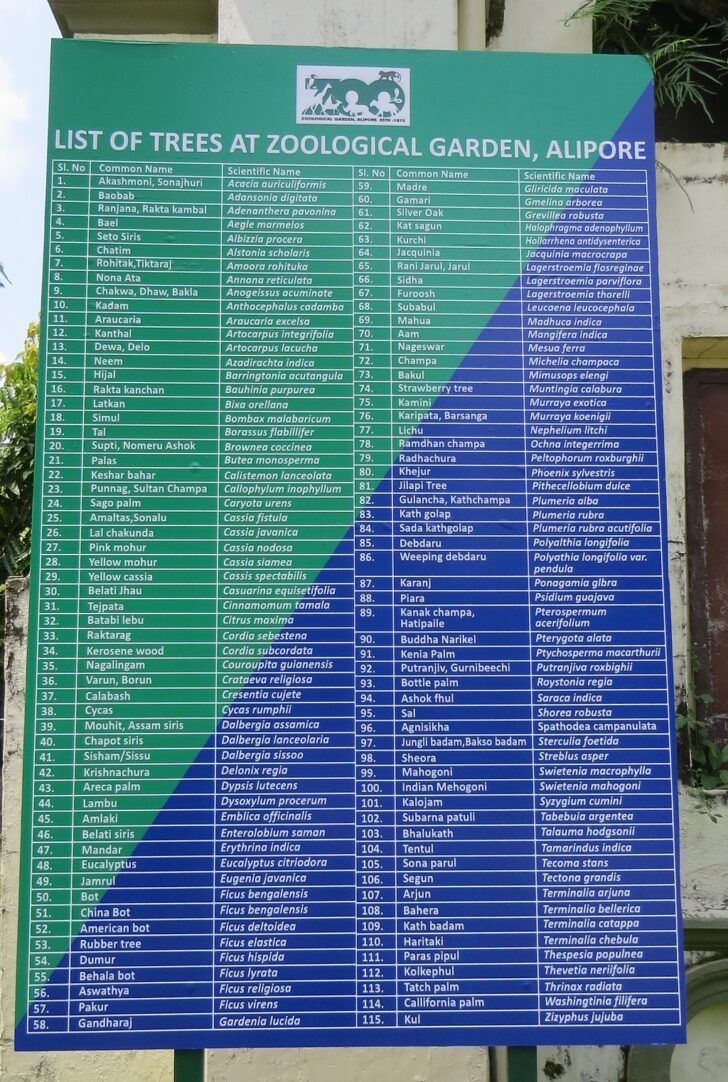 List of Trees at Zoological Garden, Alipore (Kolkata, India)
