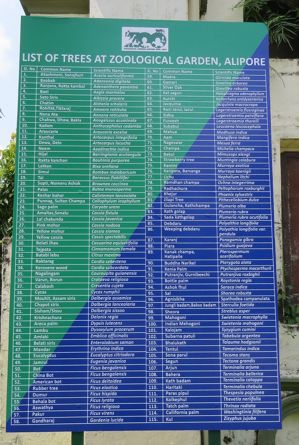 List of Trees at Zoological Garden, Alipore