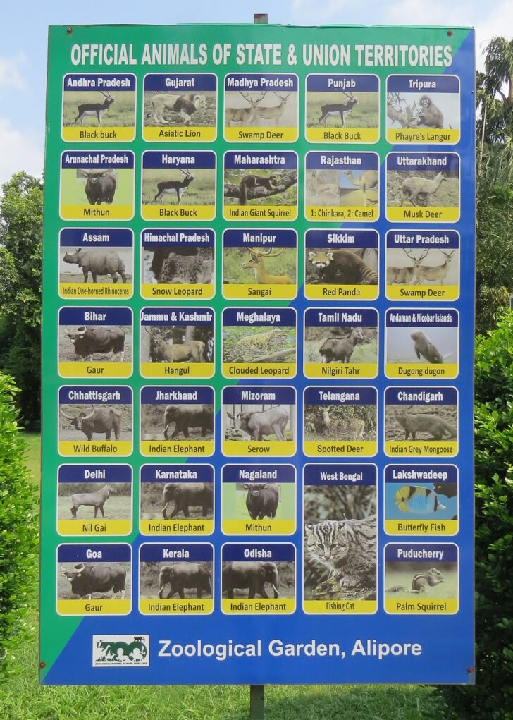 Official Animals of State & Union Territories