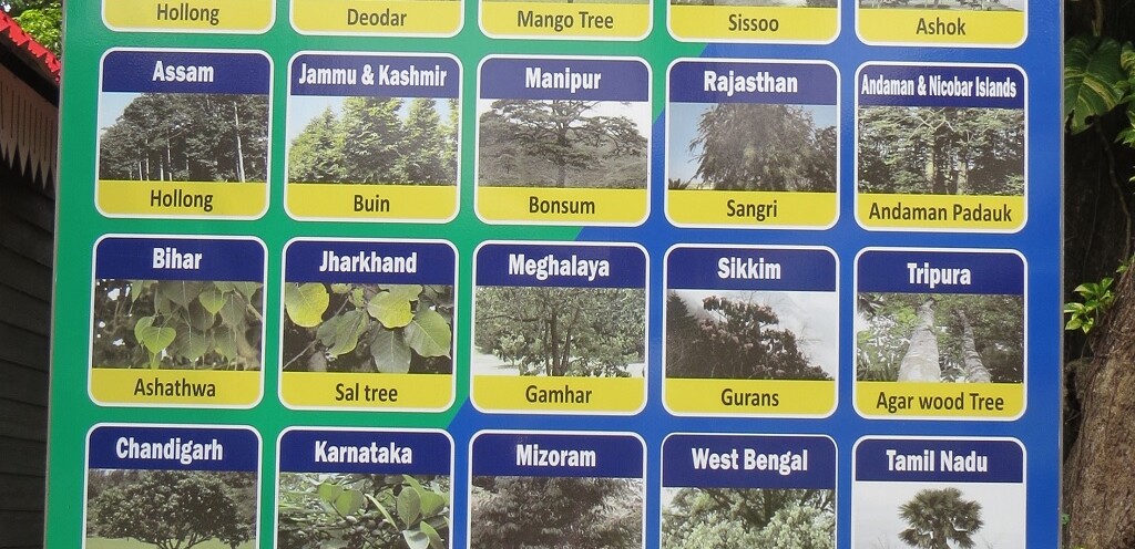 Official State Tree of State & Union Territories of India