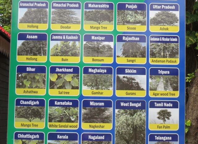 Official State Tree of State & Union Territories of India