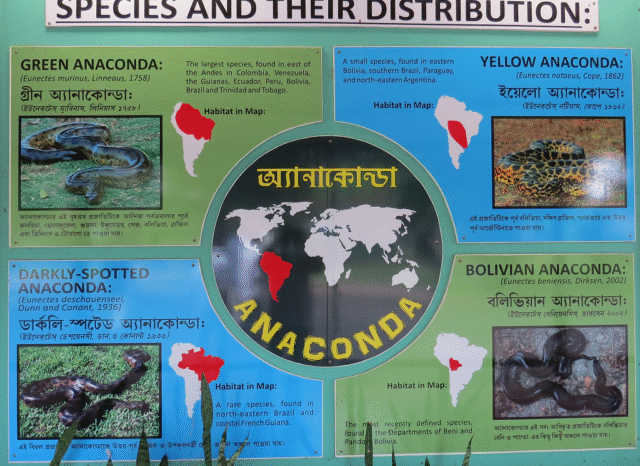 Species and their Distribution
