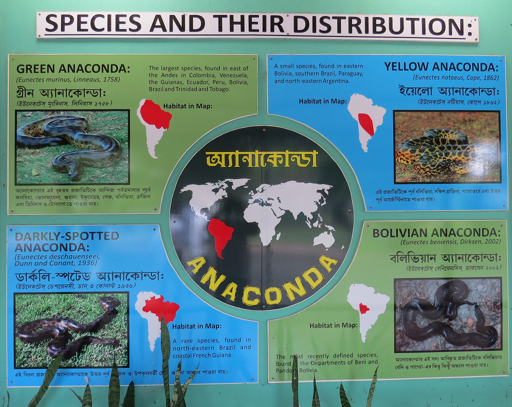 Species and their Distribution