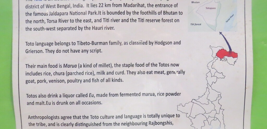About - Toto - an isolated tribal group in India