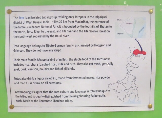 About - Toto - an isolated tribal group in India