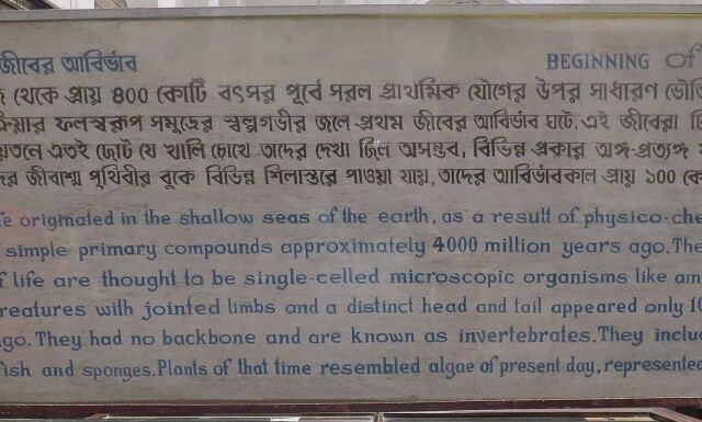 Beginning of Life on Earth - Approximately 4000 Million Years Ago