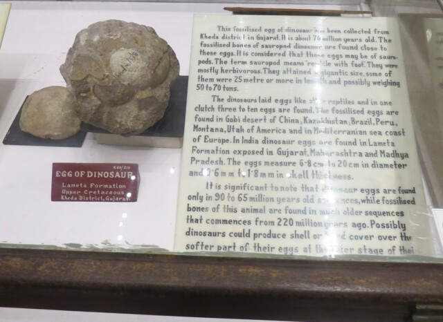 Egg of Dinosaur (70 Million Years Old)