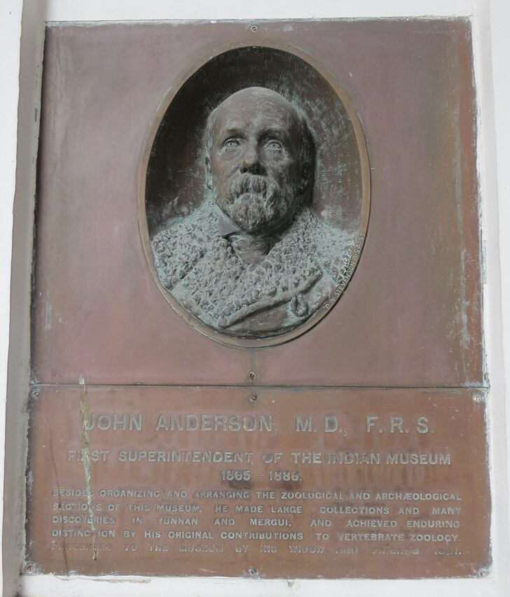 John Anderson - First Superintendent of The Indian Museum (1865-1886)