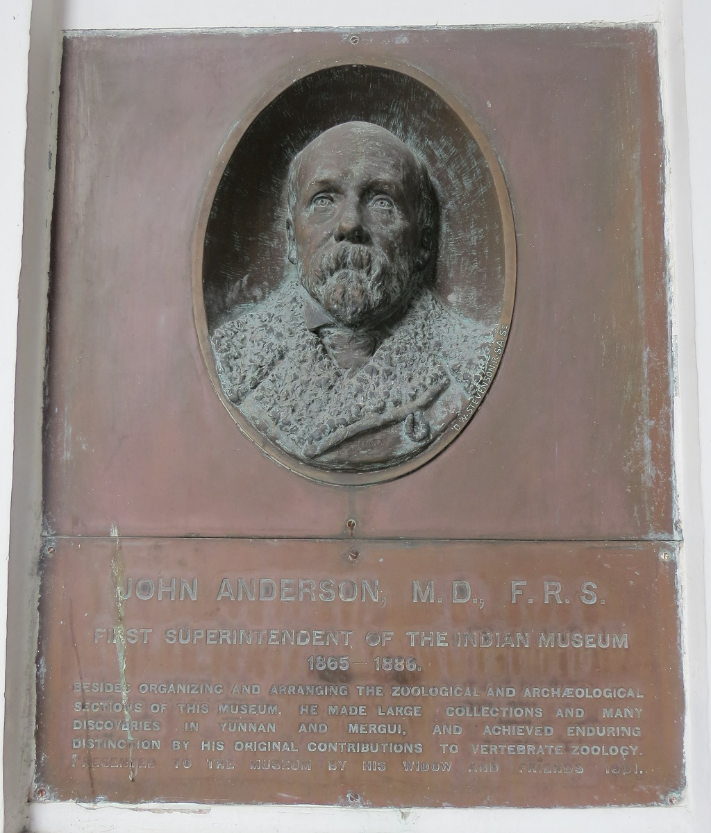 John Anderson – First Superintendent of The Indian Museum