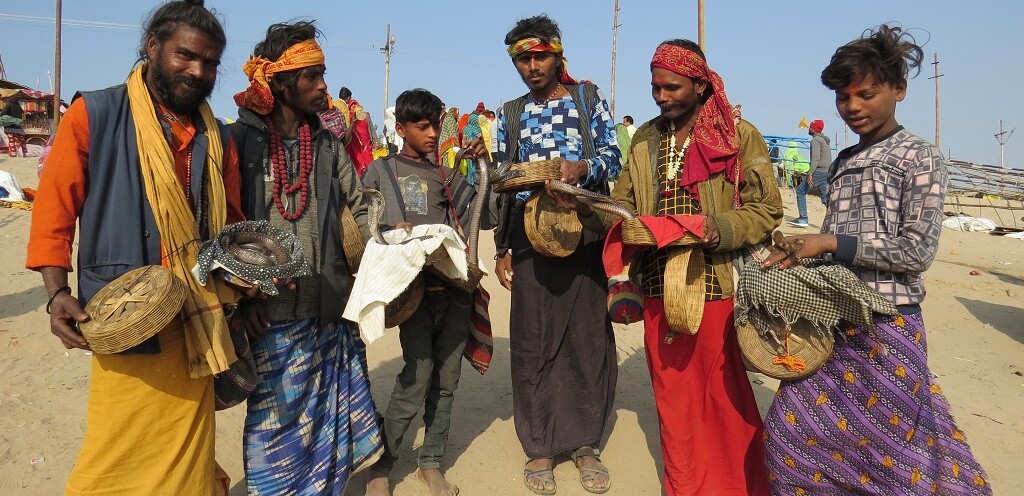 Snake Charmers at Sangam, Prayagraj (Uttar Pradesh, India)
