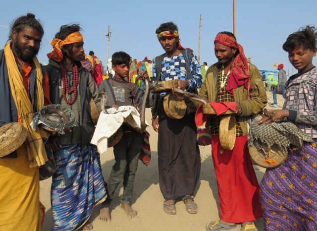 Snake Charmers at Sangam, Prayagraj (Uttar Pradesh, India)