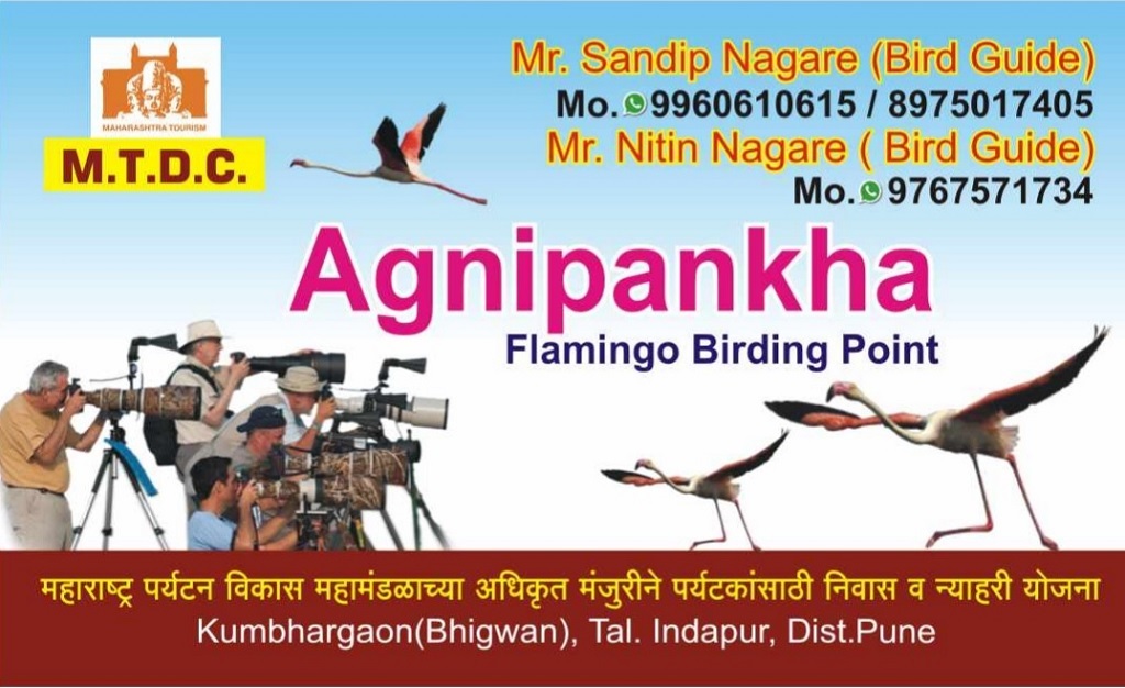 Contact Details - Agnipankha Home Stay (flamingo point), Kumbhargaon (Bhigwan Bird Sanctuary), Pune (Maharashtra, India)
