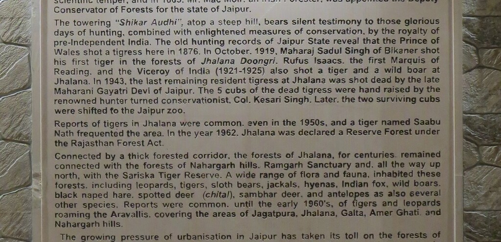 About - Jhalana Leopard Reserve (Jaipur, Rajasthan, India)