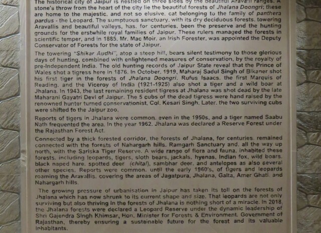 About - Jhalana Leopard Reserve (Jaipur, Rajasthan, India)