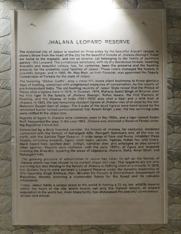 About - Jhalana Leopard Reserve (Jaipur, Rajasthan)