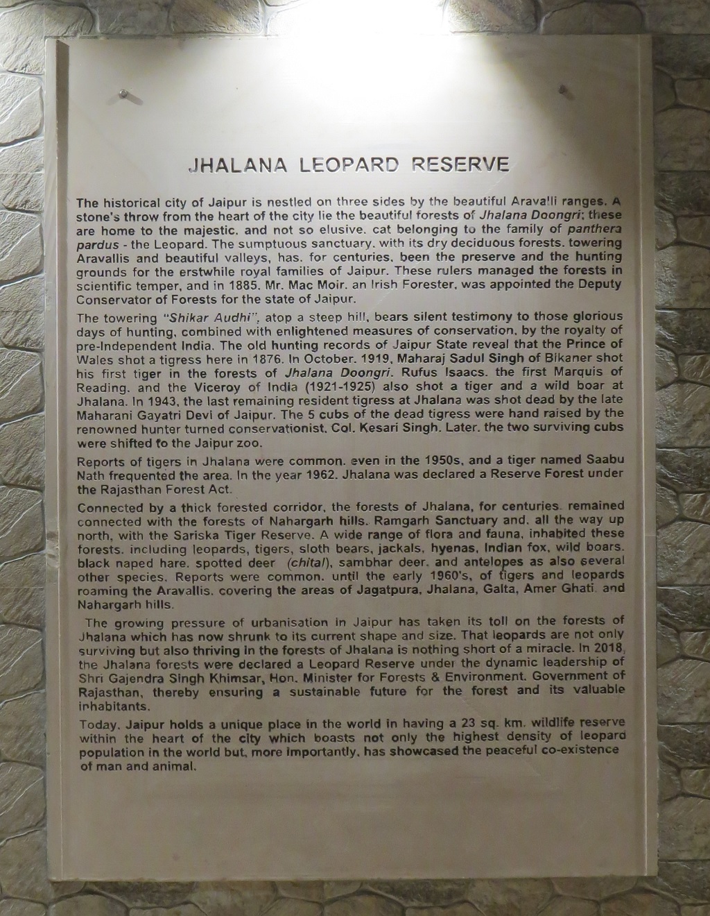 About: Jhalana Leopard Reserve (23 sq. km)