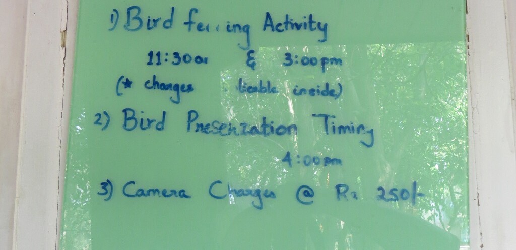 EsselWorld Bird Park (Mumbai, Maharashtra, India) Feeding-Presentation Timings & Camera Charges