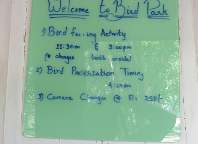 EsselWorld Bird Park (Mumbai, Maharashtra, India) Feeding-Presentation Timings & Camera Charges