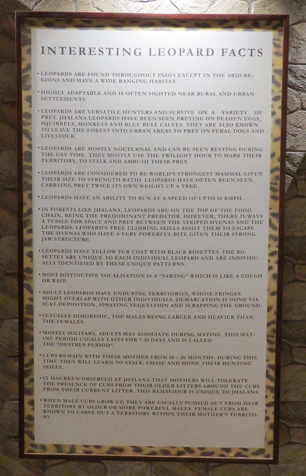Interesting Leopard Facts