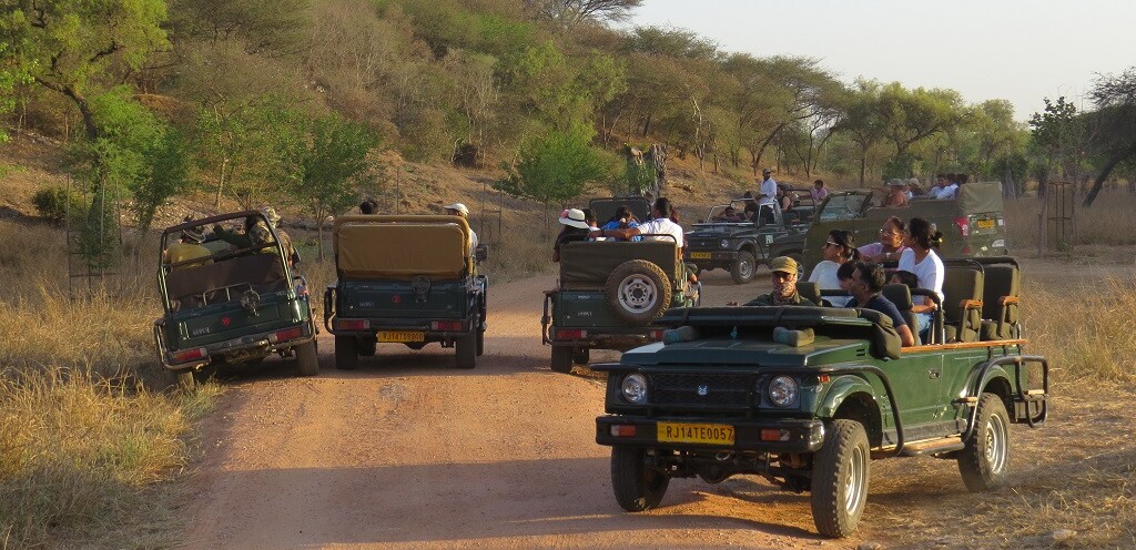Tourists in Open Jeep Safari at Jhalana Leopard Reserve in Jaipur (Rajasthan, India)
