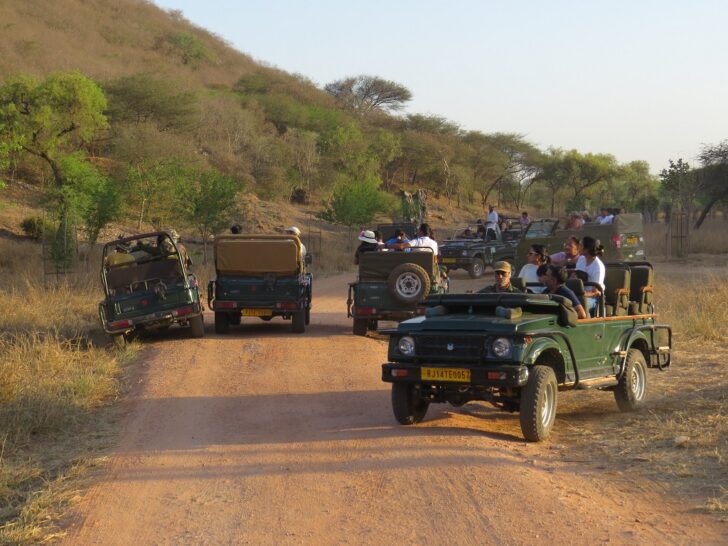 Tourists in Open Jeep Safari at Jhalana Leopard Reserve in Jaipur (Rajasthan, India)