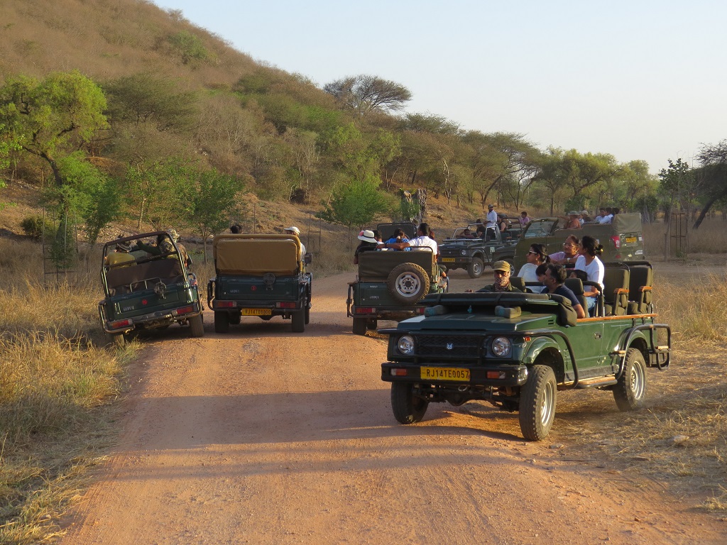 Tourists in Open Jeep Safari at Jhalana Leopard Reserve
