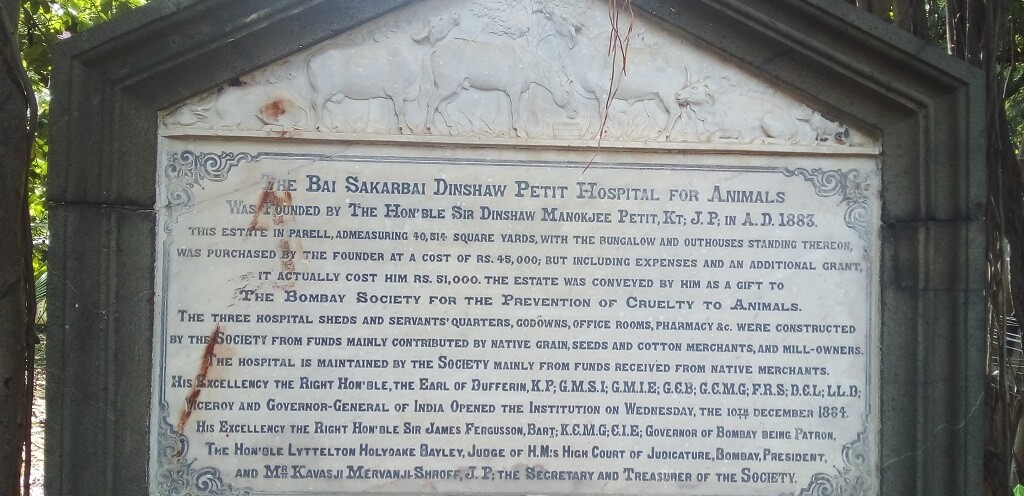 About - The Bai Sakarbai Dinshaw Petit Hospital for Animals (Mumbai, Maharashtra, India)