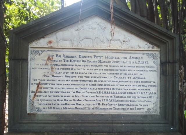 About - The Bai Sakarbai Dinshaw Petit Hospital for Animals (Mumbai, Maharashtra, India)