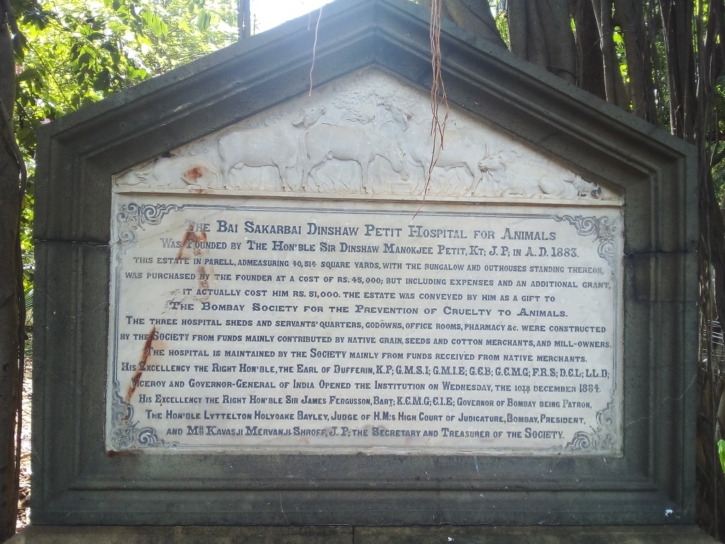 About - The Bai Sakarbai Dinshaw Petit Hospital for Animals (Mumbai, Maharashtra, India)