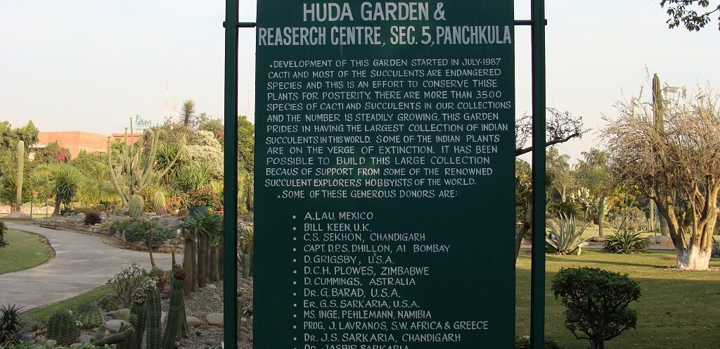 Generous Donors - Cactus Garden (Panchkula, Haryana, India)