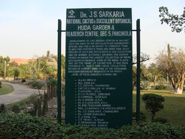 Generous Donors - Cactus Garden (Panchkula, Haryana, India)