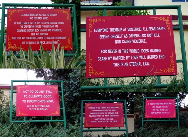 Buddhist Quotes from The Dhammapada