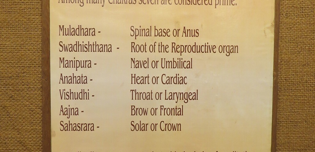 What are the Seven Prime Levels of Chakras (Shri Yogendra Museum of Classical Yoga, Mumbai, Maharashtra, India)