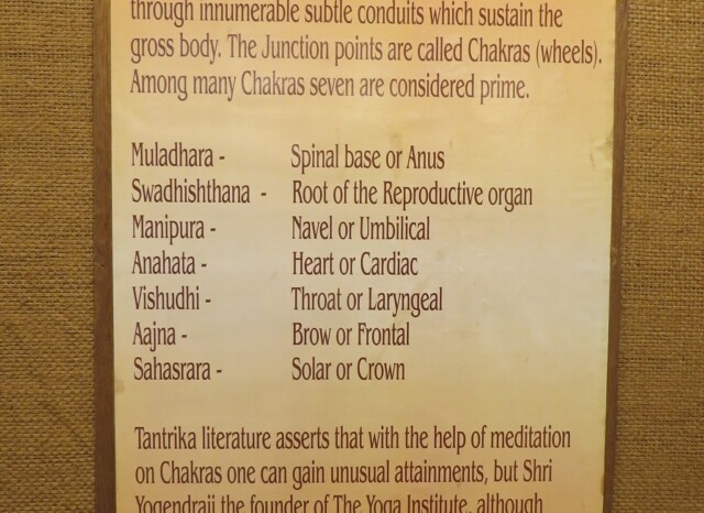 What are the Seven Prime Levels of Chakras (Shri Yogendra Museum of Classical Yoga, Mumbai, Maharashtra, India)