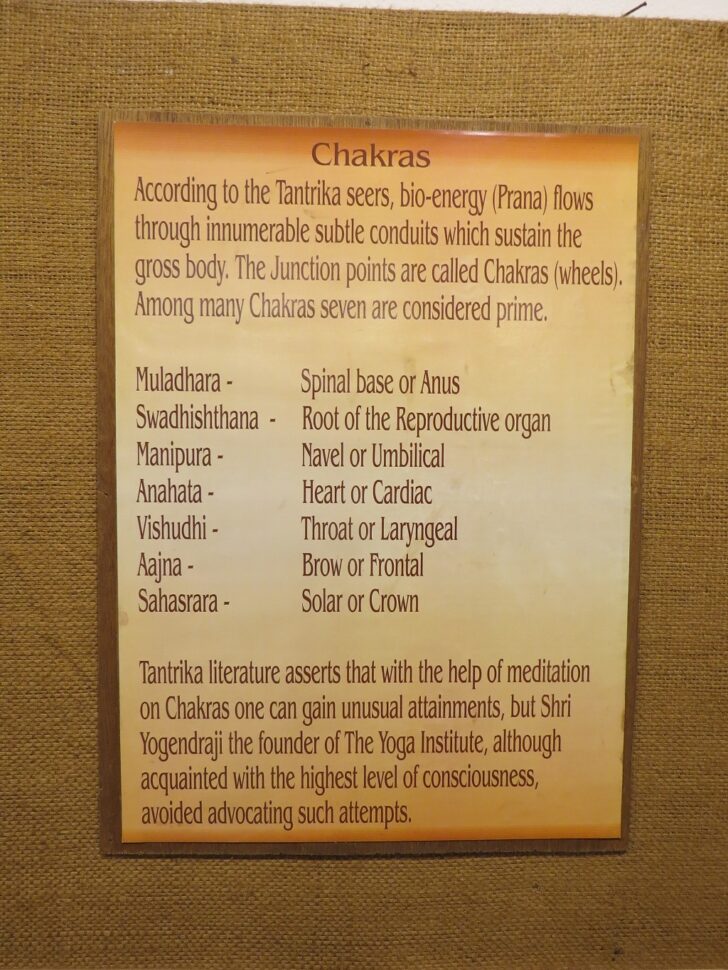 What are the Seven Prime Levels of Chakras (Shri Yogendra Museum of Classical Yoga, Mumbai, Maharashtra, India)