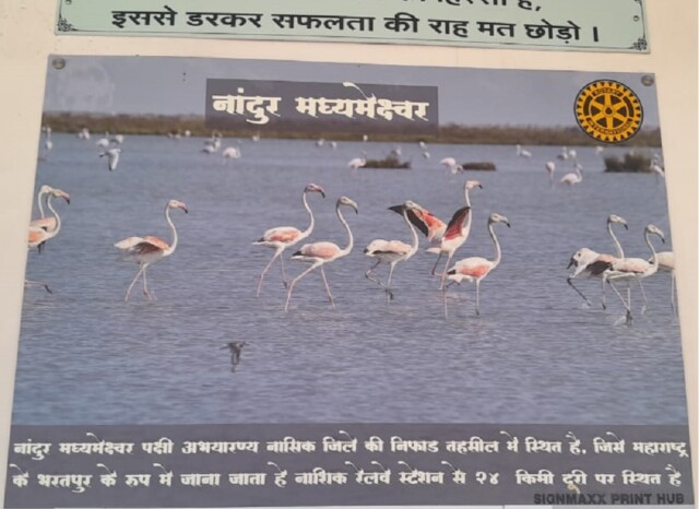 Which Bird Sanctuary in Nashik is Known as Maharashtra's Bharatpur?