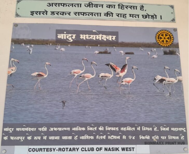 Which Bird Sanctuary in Nashik is Known as Maharashtra's Bharatpur?